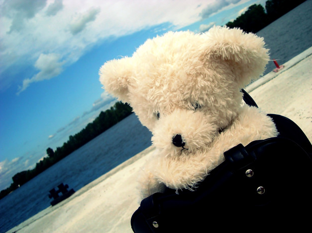 Обои картинки фото разное, игрушки, река, берег, сумка, медвежонок