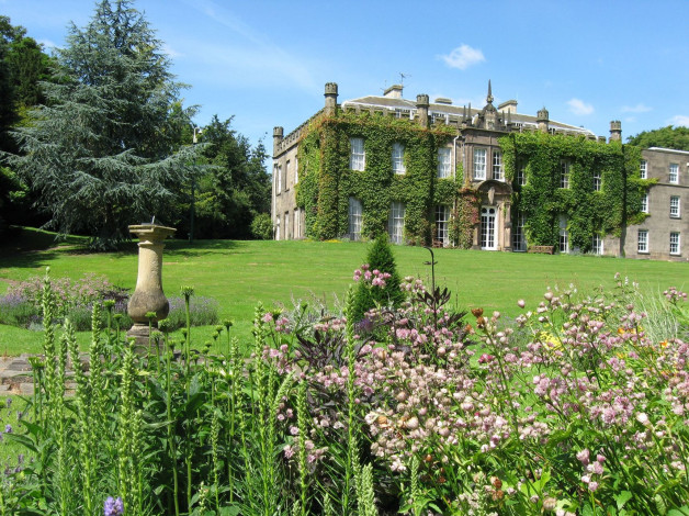 Обои картинки фото города, здания, дома, плющ