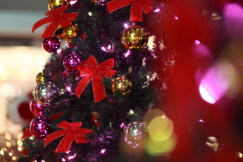 Картинка праздничные Ёлки украшения