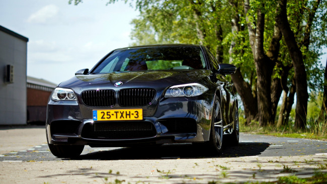 Обои картинки фото bmw, автомобили