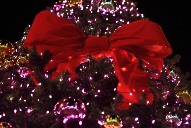 Обои картинки фото праздничные, Ёлки, бант