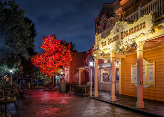 Картинка города диснейленд фонари анахайм парки сша дизайн ночь калифорния