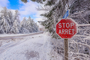 Картинка природа зима деревья snow road снег дорога winter trees