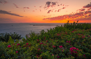 Картинка природа восходы закаты рассвет