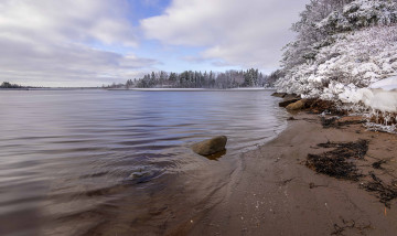 Картинка природа реки озера река snow winter trees деревья снег зима river