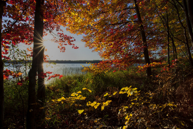 Обои картинки фото природа, восходы, закаты, заря