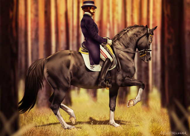 Обои картинки фото рисованное, животные,  лошади, всадник, фон, лошадь