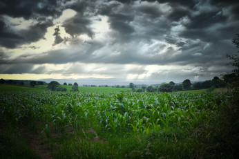 Картинка природа пейзажи простор