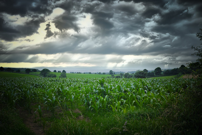 Обои картинки фото природа, пейзажи, простор