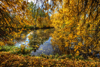 Картинка природа реки озера простор