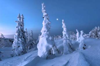 обоя природа, зима, деревья, склон, снег