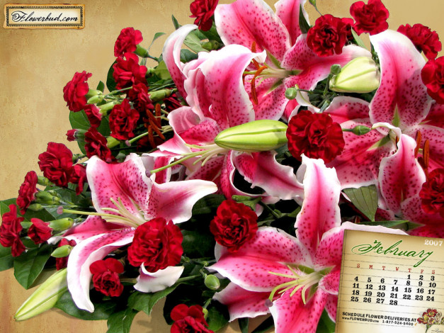 Обои картинки фото календари, цветы