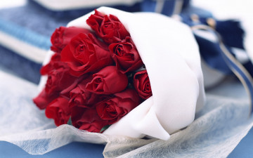 Картинка цветы розы