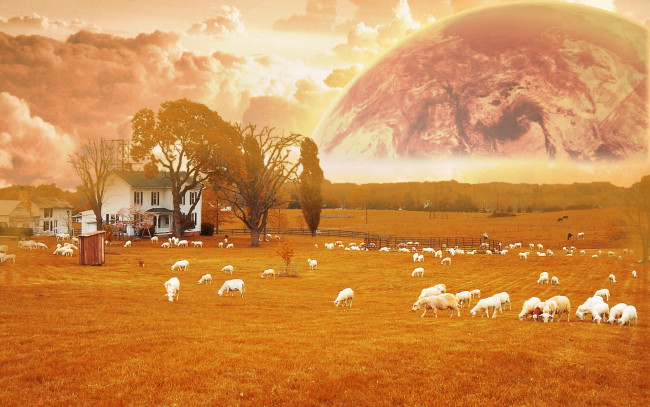 Обои картинки фото разное, компьютерный, дизайн, планета, дом, поле