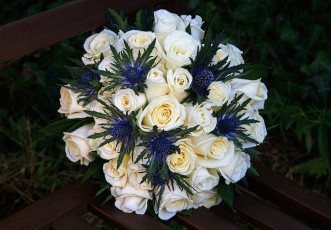 Картинка цветы букеты композиции колючки розы