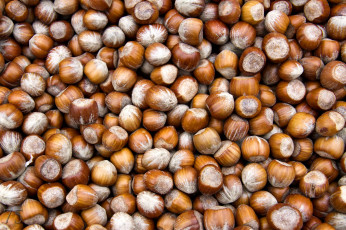 Картинка еда орехи каштаны фундук