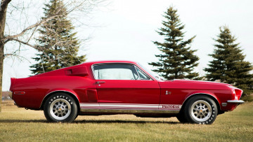 Картинка mustang автомобили сша ford motor company