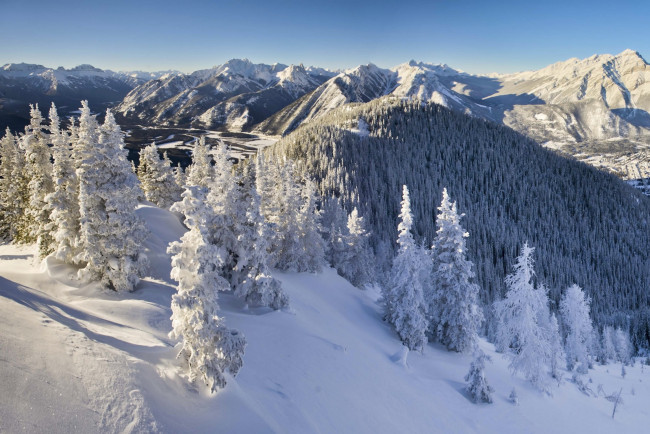 Обои картинки фото banff, national, park, canada, природа, зима, снег, горы