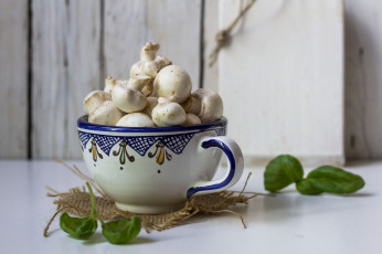 Картинка еда грибы +грибные+блюда шампиньоны