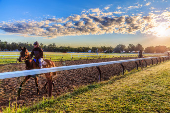 Картинка спорт конный+спорт забег ипподром