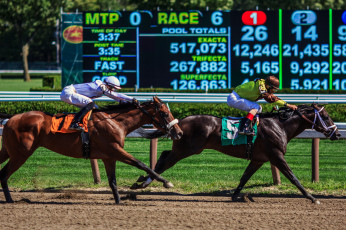 Картинка спорт конный+спорт забег ипподром скачки