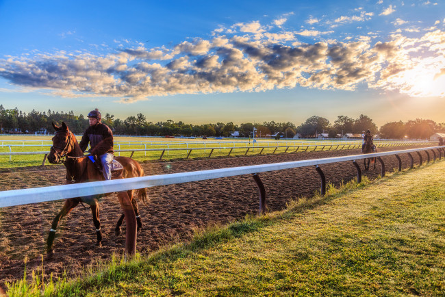 Обои картинки фото спорт, конный спорт, забег, ипподром