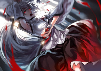 Картинка аниме touhou арт inubashiri momiji uu zan крик взгляд девушка меч