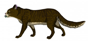 Картинка рисованное животные +коты фон кот