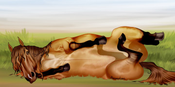 Картинка рисованное животные +лошади лошадь