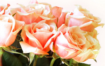 Картинка цветы розы оранжевые букет