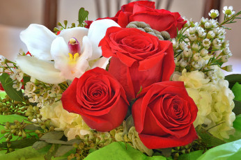 Картинка цветы букеты +композиции букет