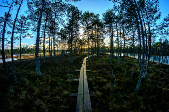 Картинка природа дороги тракт