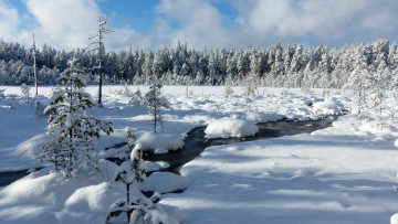 Картинка природа зима снег