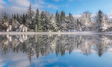 Картинка природа реки озера лес река