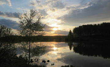 Картинка природа реки озера лес река