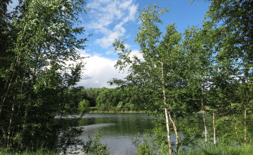 Картинка природа реки озера лес река