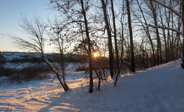 Картинка природа зима лучи деревья снег