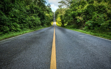 Картинка природа дороги пейзаж деревья дорога