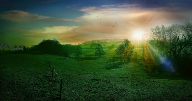 Обои картинки фото природа, поля, деревья, холмы, поле, закат, пейзаж