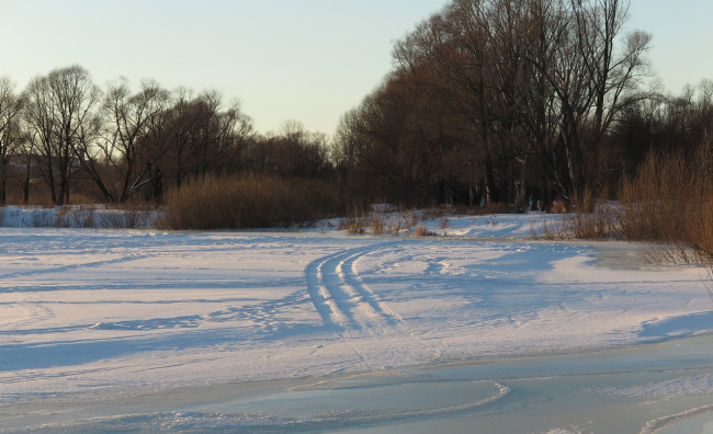 Обои картинки фото природа, зима, деревья, снег