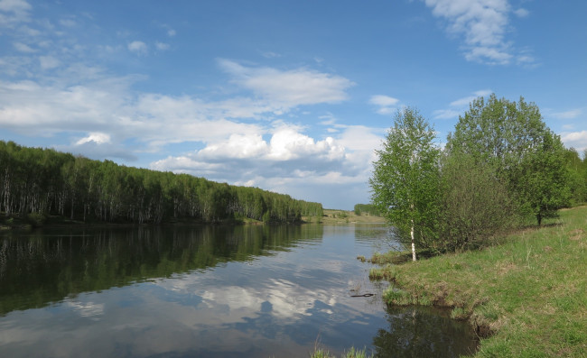 Обои картинки фото природа, реки, озера, река, лес