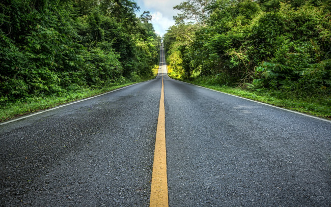 Обои картинки фото природа, дороги, пейзаж, деревья, дорога