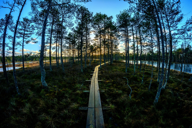 Обои картинки фото природа, дороги, тракт