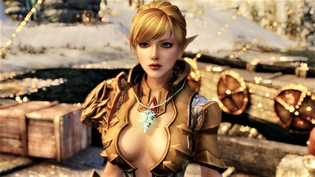 Обои картинки фото видео игры, the elder scrolls v,  skyrim, компаньонки, skyrim, девушки, игры, эльфийка