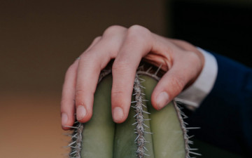 Картинка разное руки +ноги рука кактус