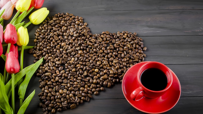 Обои картинки фото еда, кофе,  кофейные зёрна, тюльпаны, зерна, цветы