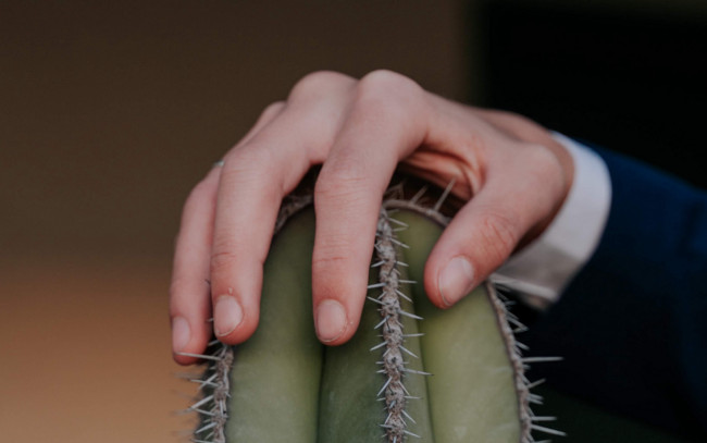 Обои картинки фото разное, руки,  ноги, рука, кактус