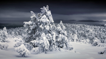 Картинка природа зима снег сугробы