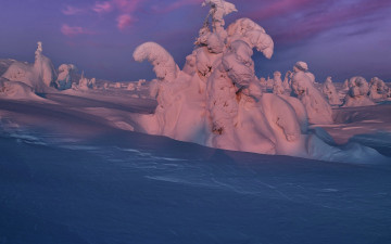 Картинка природа зима снег сугробы