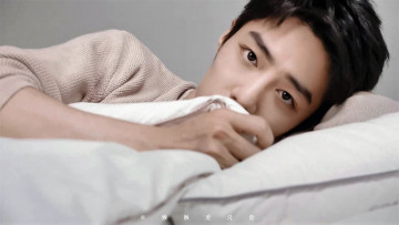 Картинка мужчины xiao+zhan актер одеяло свитер